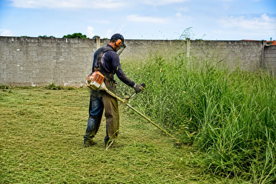 Roçagem profissional de terrenos com roçadeira